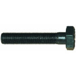 01457 ALFRA replacement screw 10x55 special for sanitary technology