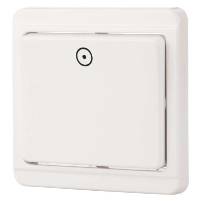 Switch STANDARD 4FN57512.2101C.1/0 B