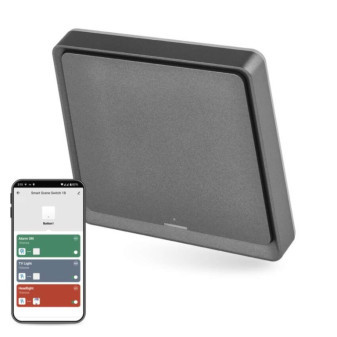 GoSmart Portable Scene Controller IP-2001ZB, ZigBee 3.0, 1-Taster